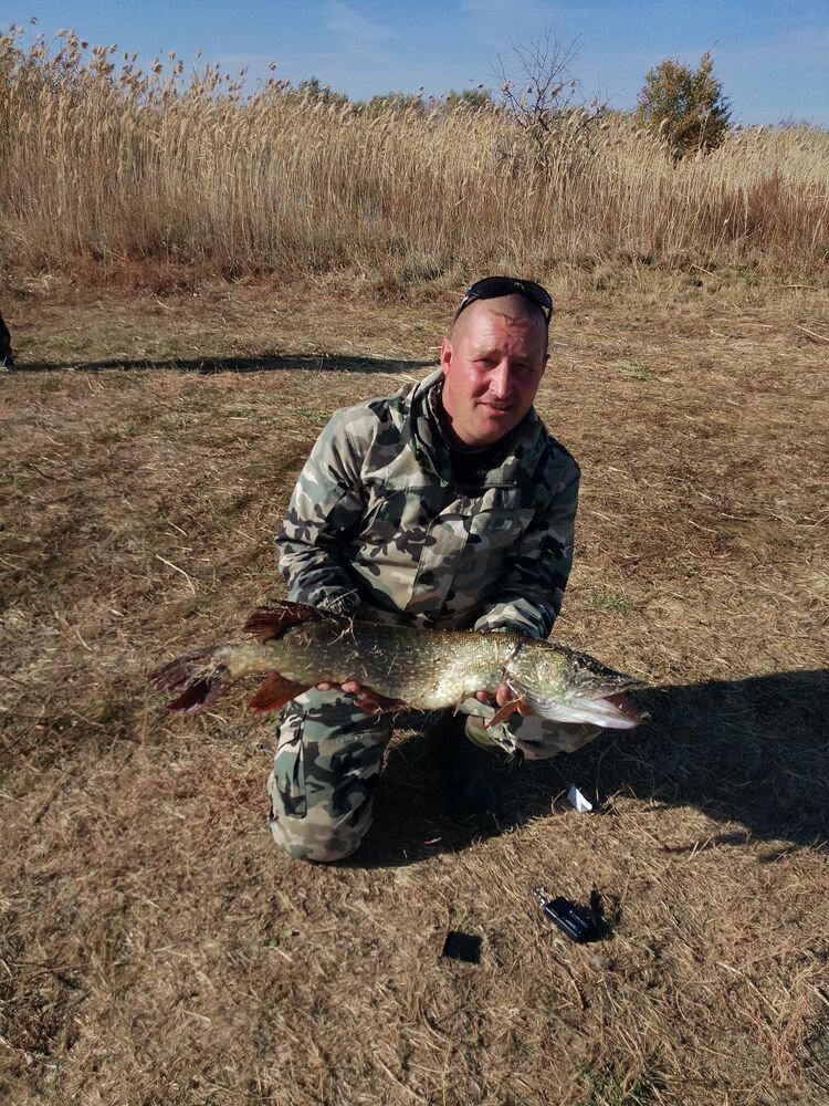 ���������� ������, ���� ������� ������, 42 ����, ������������ ��� ������, ����� � ���������