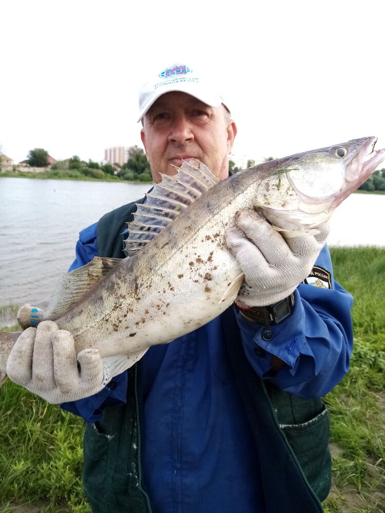 ���������� ���������, ���� ������� ������, 57 ���, ������������ ��� ����� � ���������, c�������� ���������