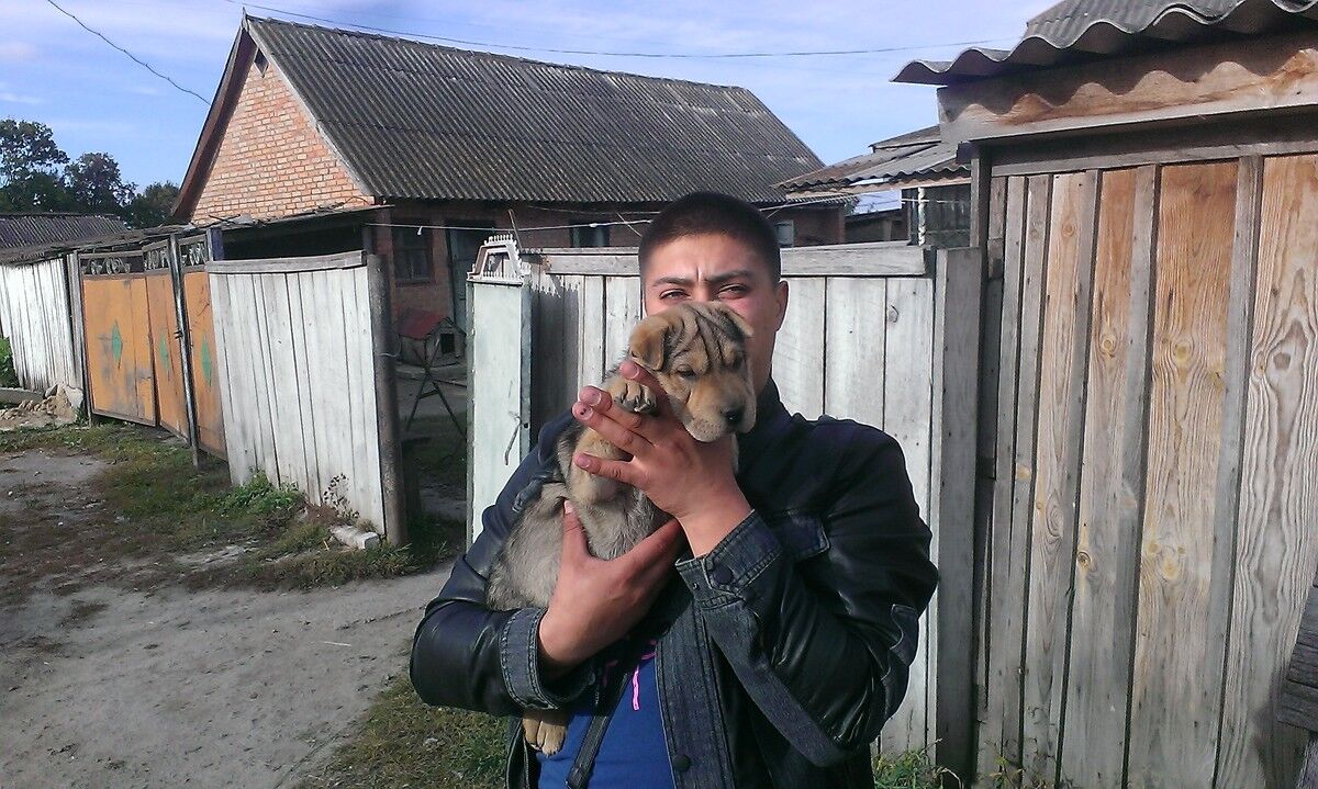  ,   , 33 ,   ,   , c 