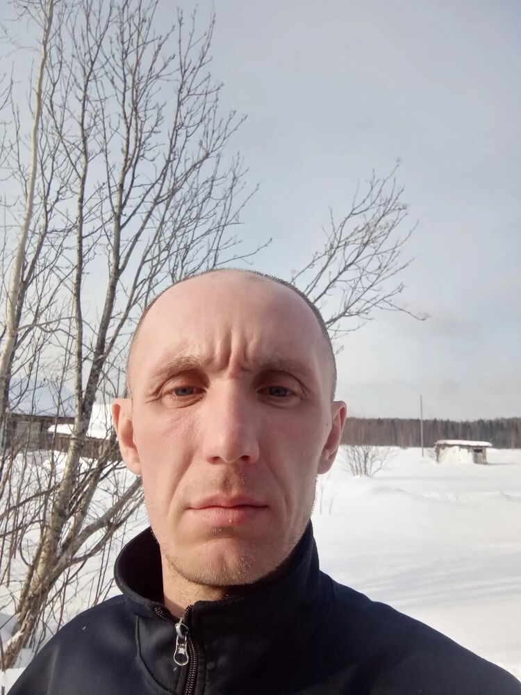  33466056  , 41 ,    
