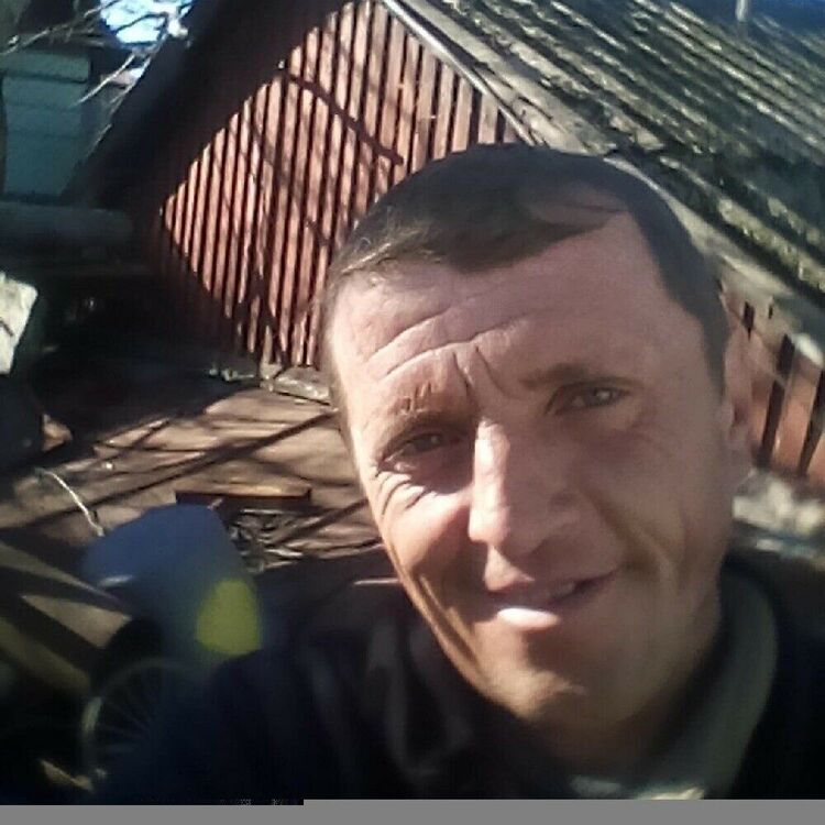  33395256  , 50 ,    