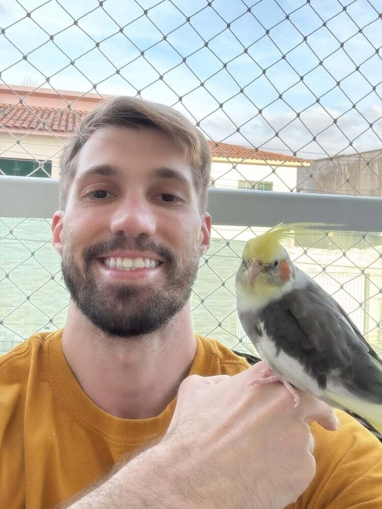 ���������� �������, ���� ������� ����, 35 ���, ������������ ��� ������, ����� � ���������