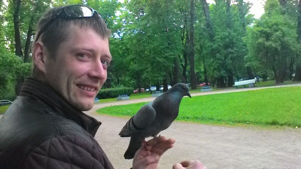 ���������� ������, ���� ������� �����, 39 ���, ������������ ��� ������, ����� � ���������, c�������� ���������