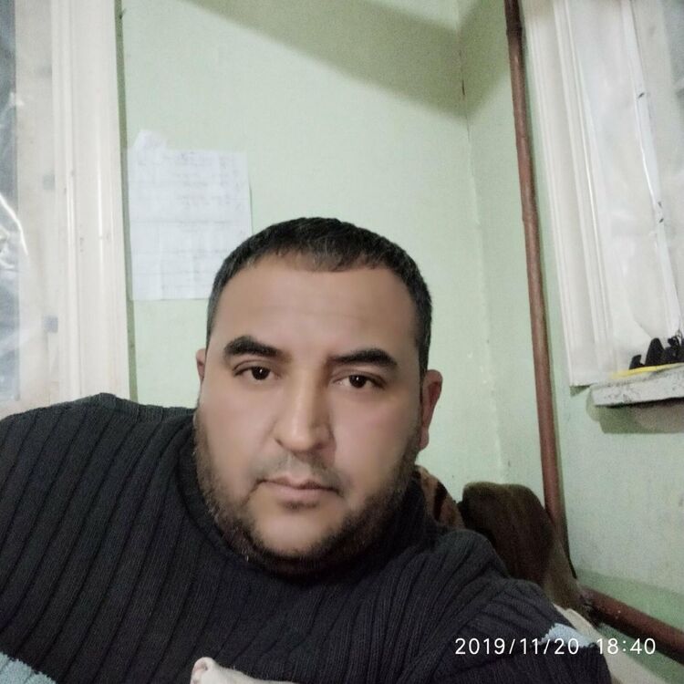 ���� 31881616 ������� ������, 50 ���, ���� ���������� � ������