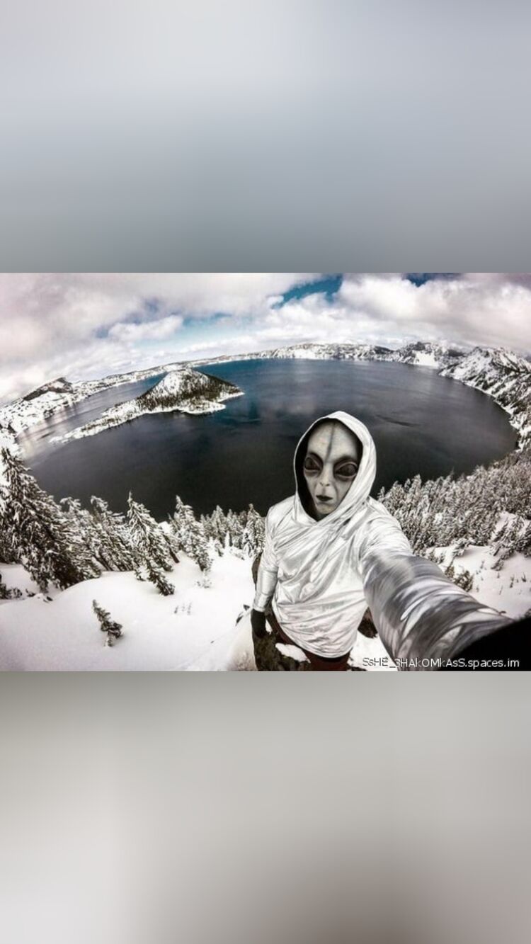 ���� 28631696 ������� ��������, 56 ���, ���� ���������� � ��������