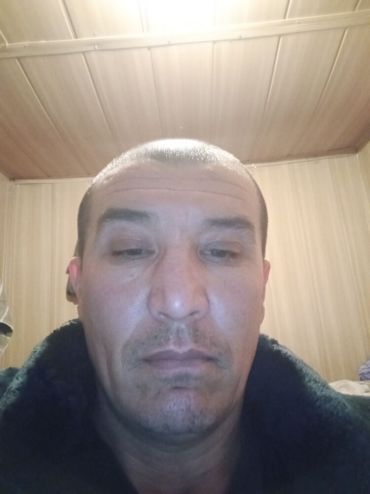  40968836  , 41 ,    