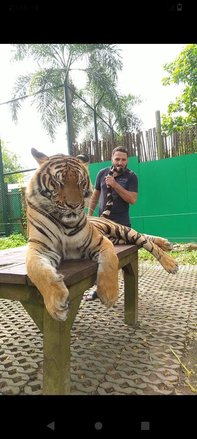  43800366  , 44 ,    -