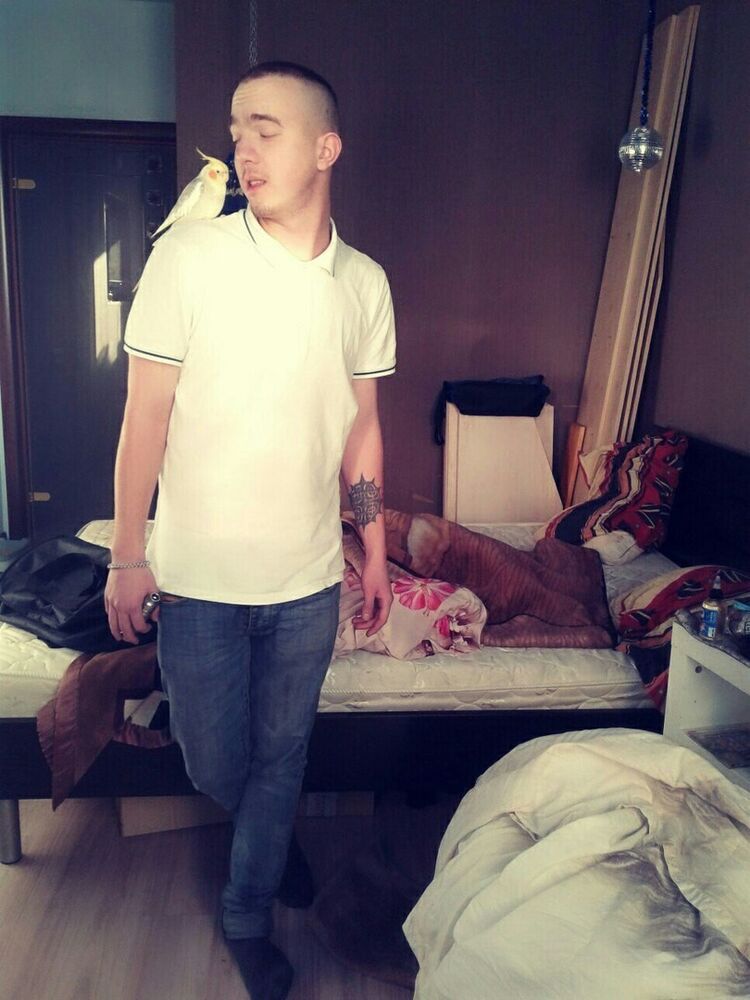  8983196  , 29 ,    -