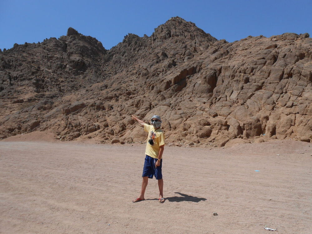 ���� 16569076 ������� ����, 48 ���, ���� ���������� � ������