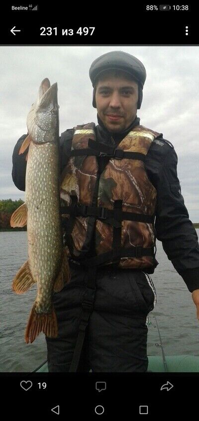 ���� 21633036 ������� ���������, 38 ���, ���� ���������� � ���