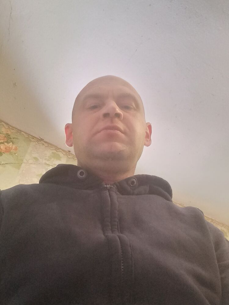  40566456  , 36 ,    -