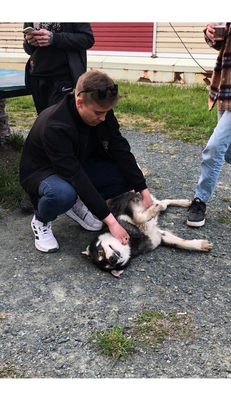 ���������� ����-���������, ���� ����� �����, 24 ����, ������������ ��� ������