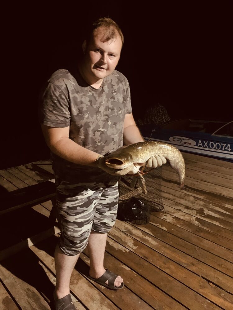 ���� 36687876 ������� �����, 30 ���, ���� ���������� � ������