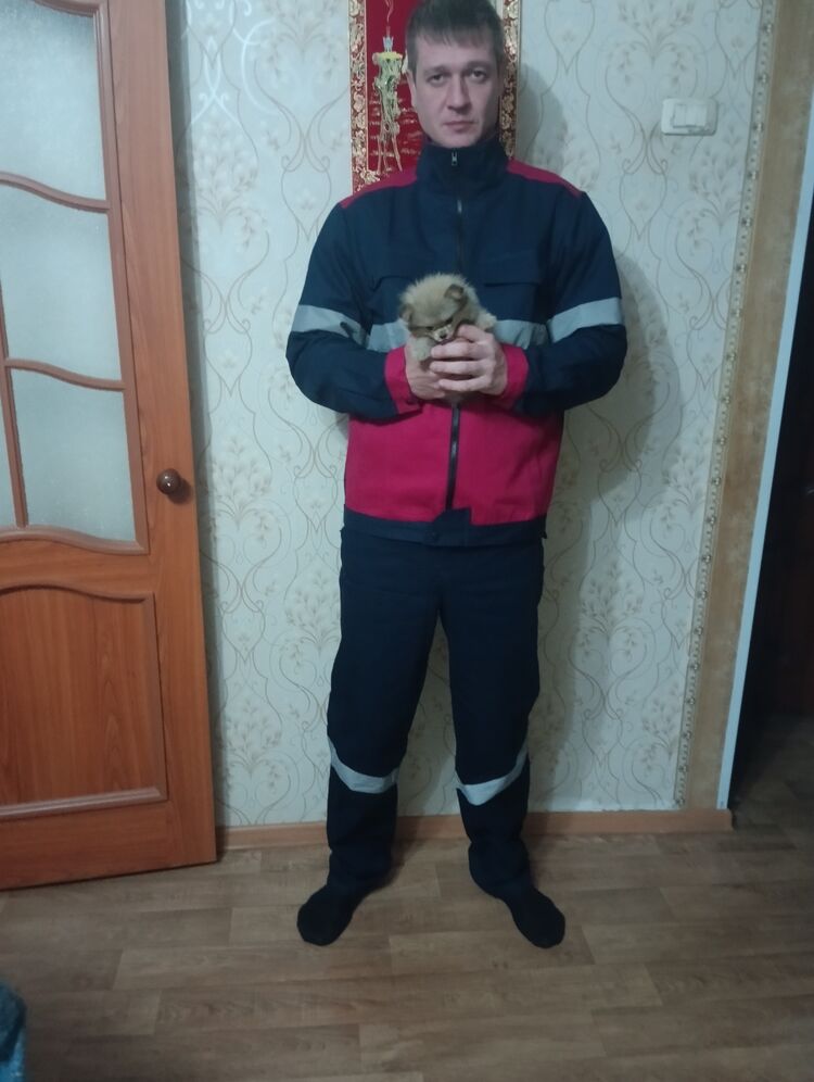  46525986  , 41 ,    
