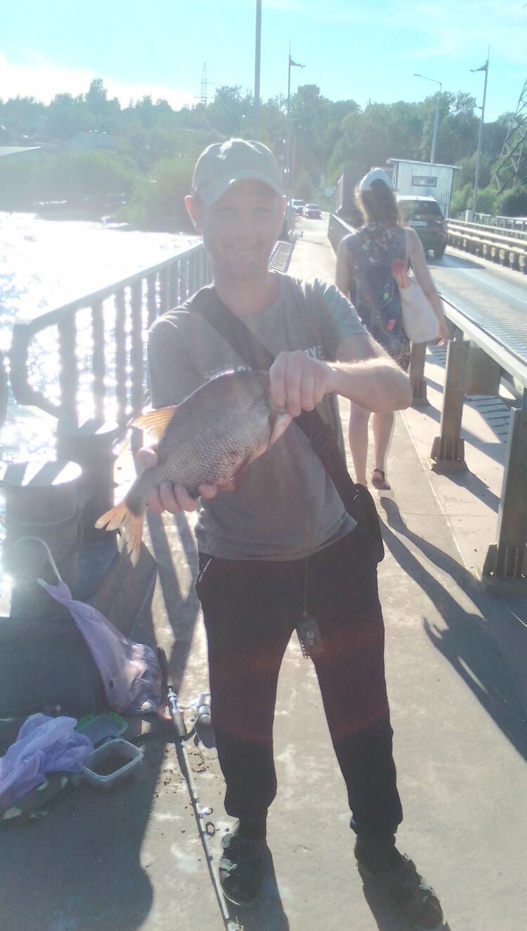 ���������� ������������, ���� ������� �������, 40 ���, ������������ ��� ������, ����� � ���������