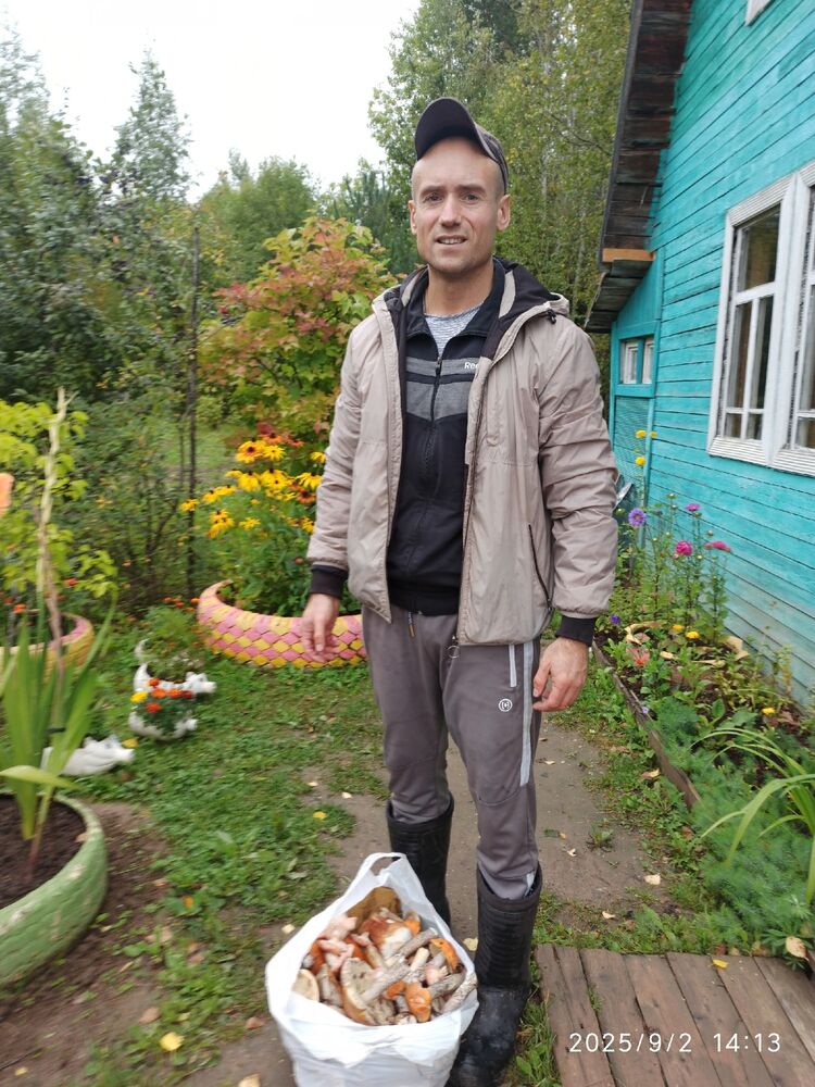  54265966  , 42 ,    -