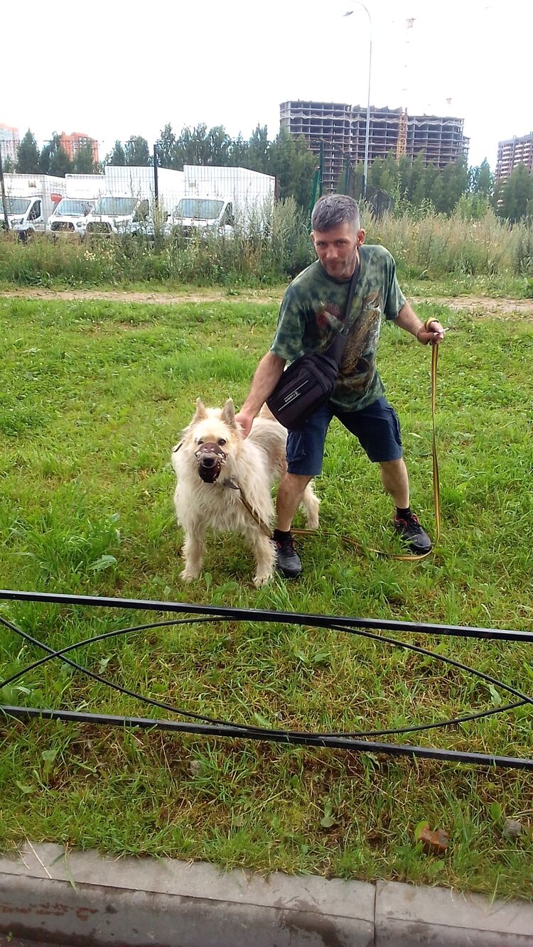 ���� 30339806 ������� �������, 40 ���, ���� ���������� � �����-����������