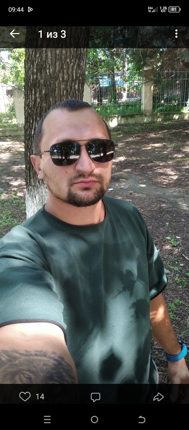  38068496  , 31 ,    