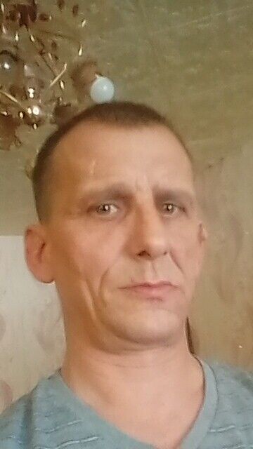  33143736  , 51 ,    