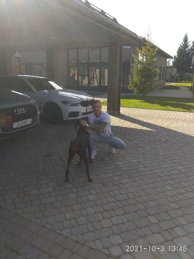  33559336  , 31 ,    