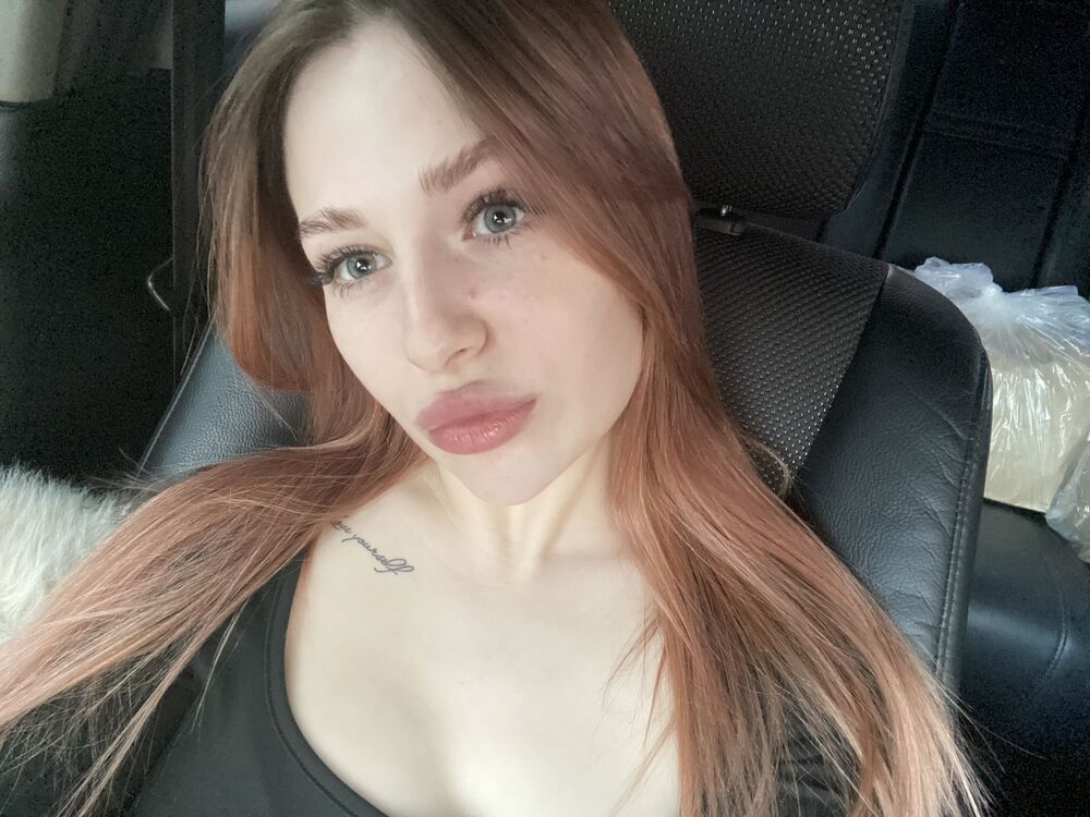  50340136  , 23 ,    