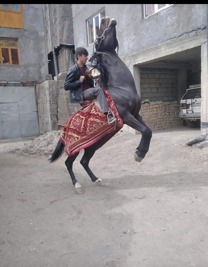 ���������� ������, ���� ����� ������, 24 ����, ������������ ��� ������, ����� � ���������