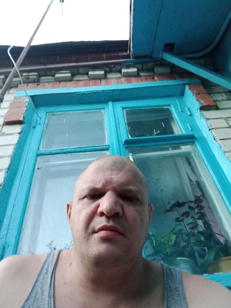 ���� 23389266 ������� �������, 48 ���, ���� ���������� � ����������