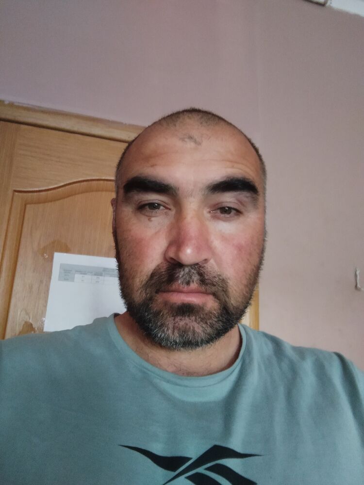  34349506  , 44 ,    