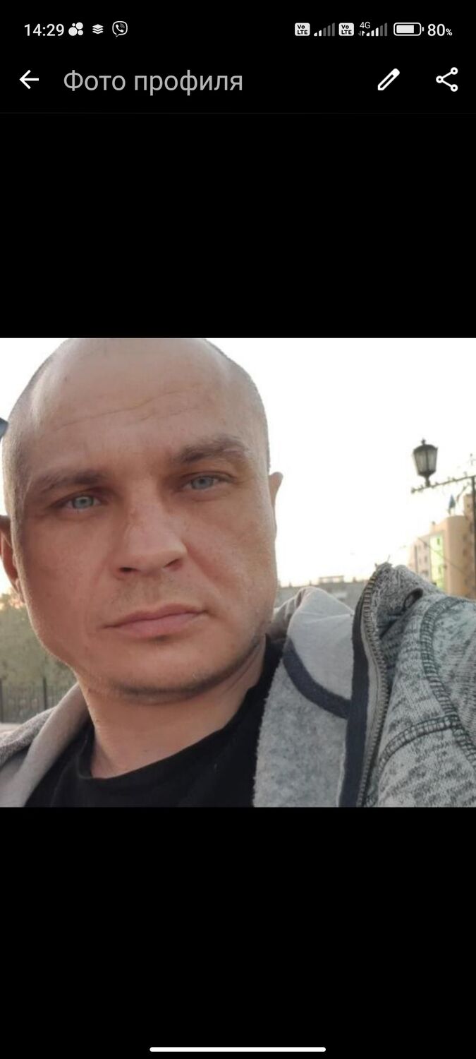 43791846  , 41 ,    