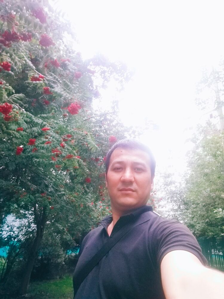 ���� 17587706 ������� TOHIR, 36 ���, ���� ���������� � ������