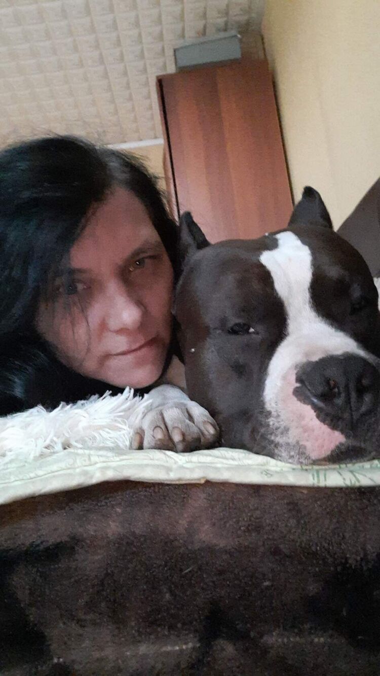 ���������� ������, ���� ������� �������, 38 ���, ������������ ��� ������, c�������� ���������