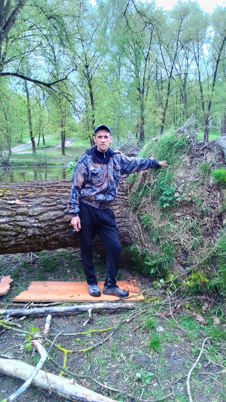 ���� 29617076 ������� �������, 38 ���, ���� ���������� � �������