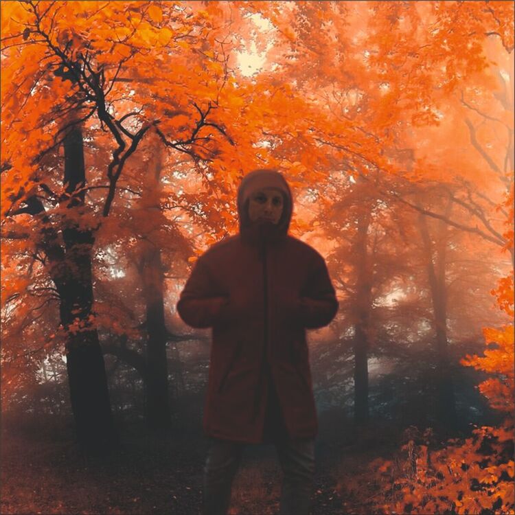  21070336  , 49 ,    