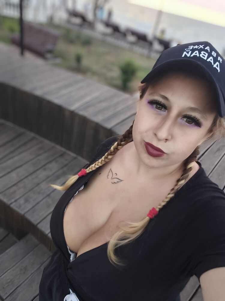  53893866  , 24 ,    