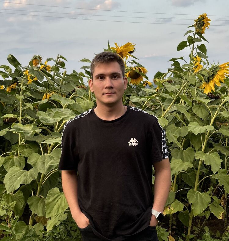 ���������� ���������, ���� ����� ������, 24 ����, ������������ ��� ������, ����� � ���������, c�������� ���������, ���������