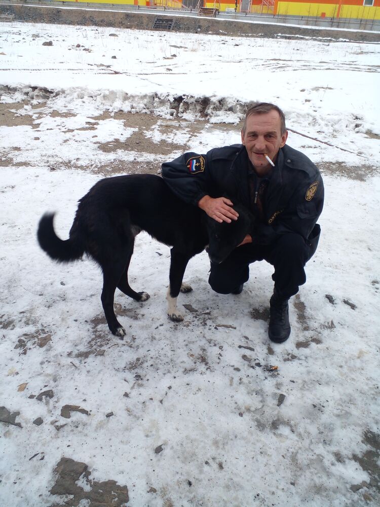 ���� 56005486 ������� ��������, 55 ���, ���� ���������� � ���������