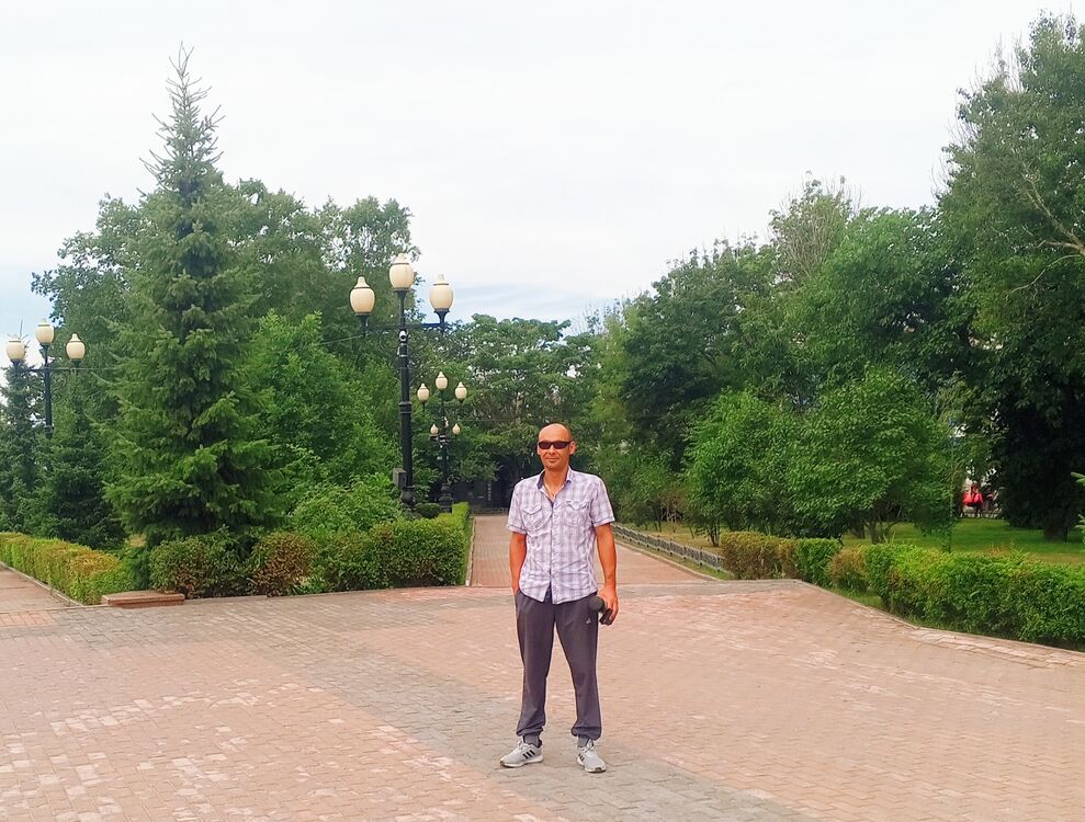  54155446  , 43 ,    -