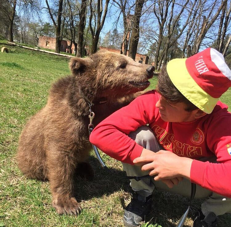 ���������� �����������, ���� ����� ���, 25 ���, ������������ ��� ������