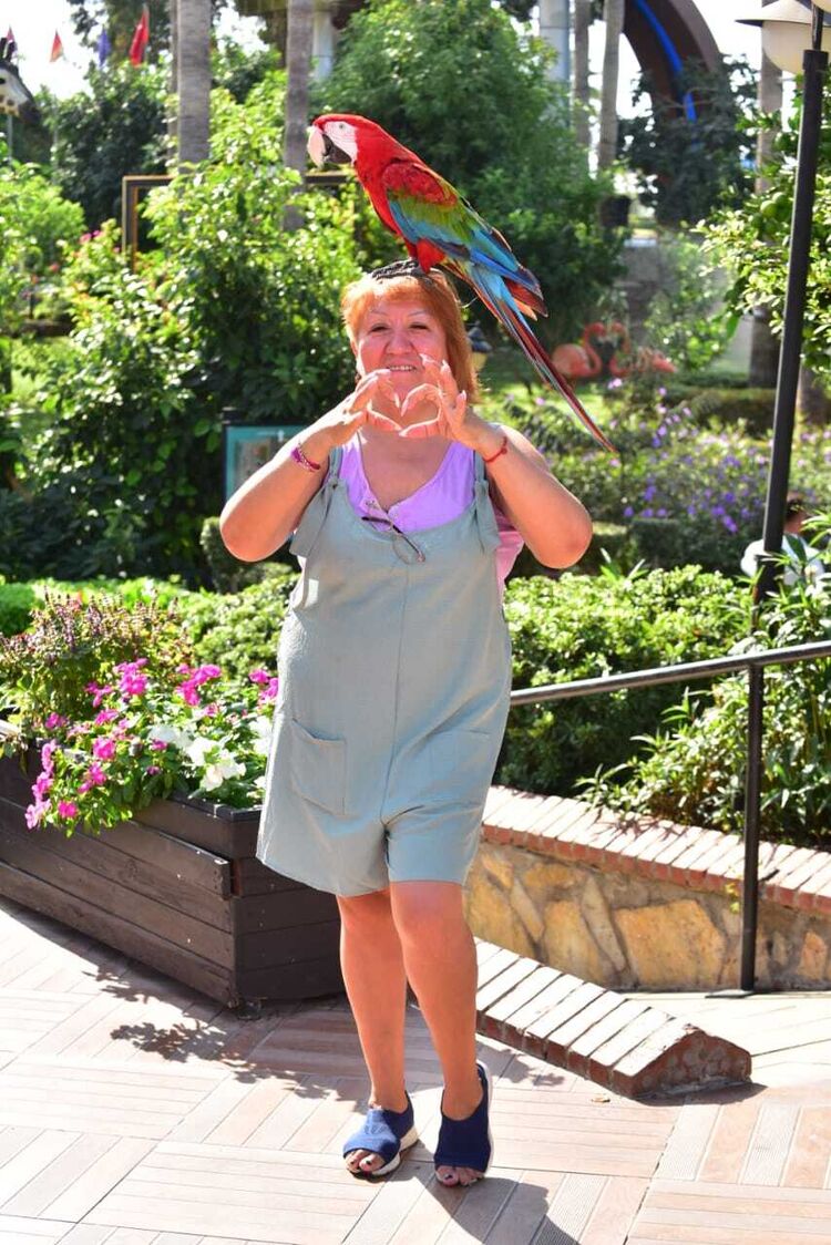 ���������� ������, ���� ������� ����, 56 ���, ������������ ��� ����� � ���������, c�������� ���������