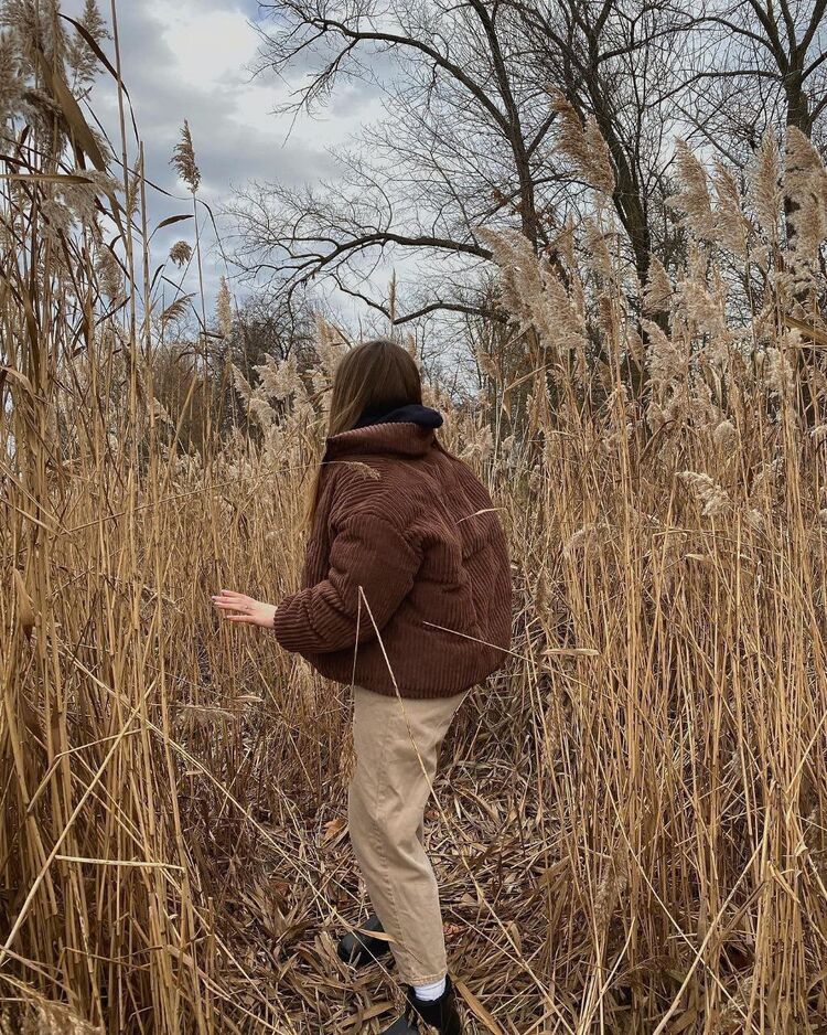 ���������� �����-���������, ���� ������� ����, 20 ���, ������������ ��� ������, ����� � ���������