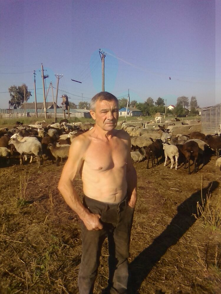  43550616  , 59 ,    