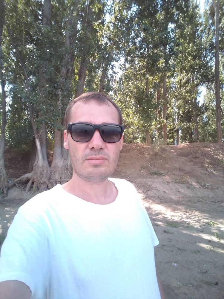  23668046  , 42 ,    Novy