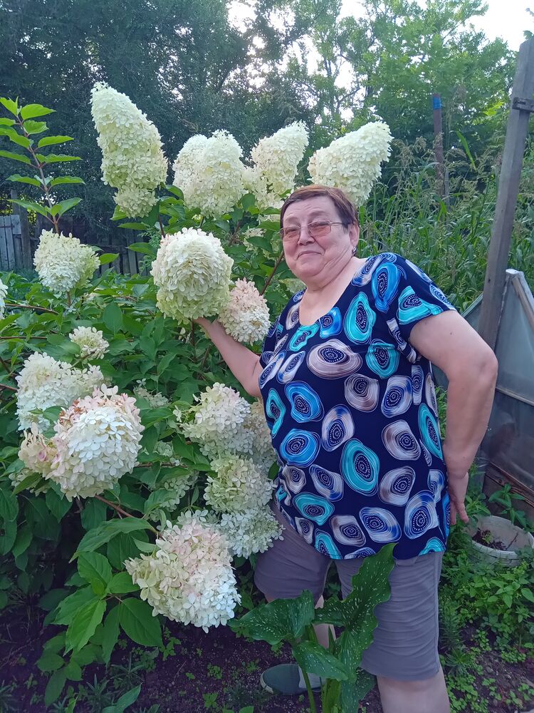  ,    , 65 ,   ,   , 