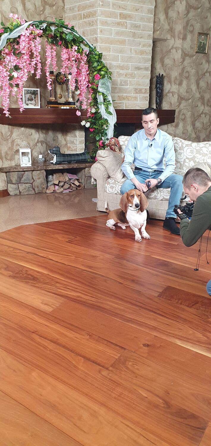 ���������� �����������, ���� ������� �����, 41 ���, ������������ ��� ������, ����� � ���������, c�������� ���������, ���������