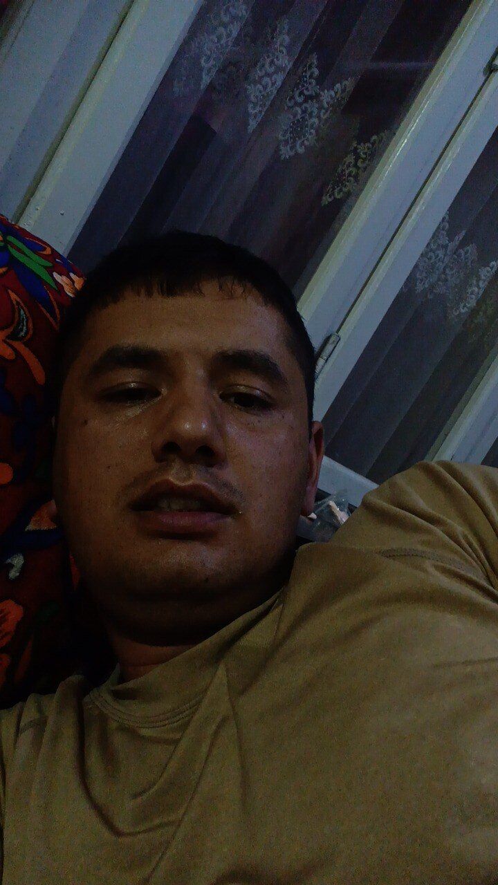  34184416  , 32 ,    