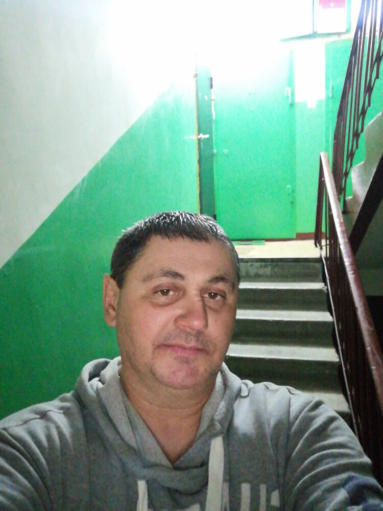  24480986  , 49 ,    