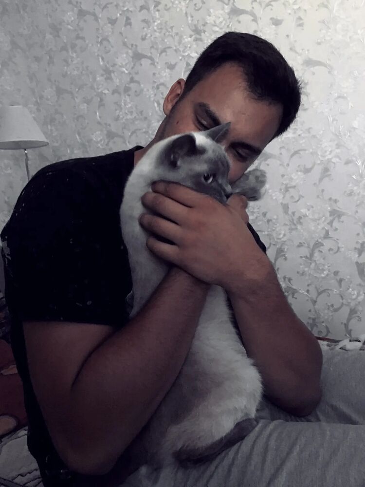 ���� 35923376 ������� ���������, 26 ���, ���� ���������� � ���������