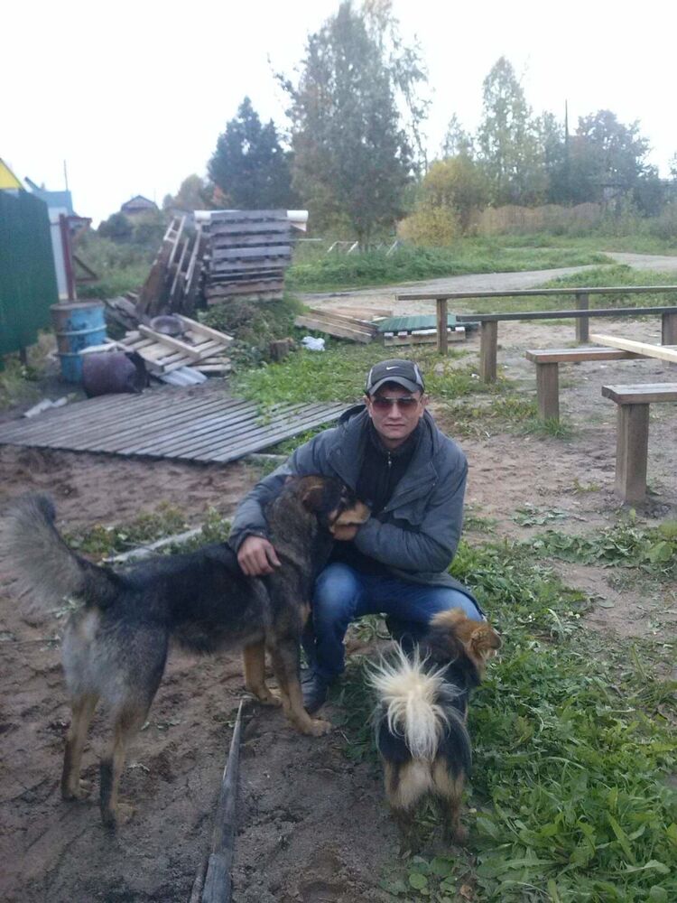 ���� 12340286 ������� ������, 33 ����, ���� ���������� � ������