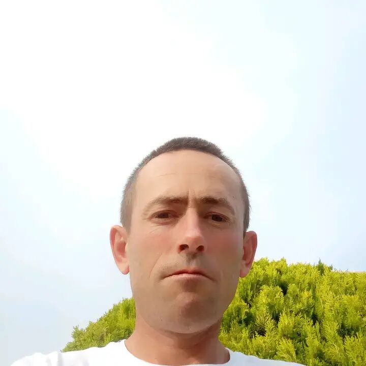  46818386  Alex, 37 ,    