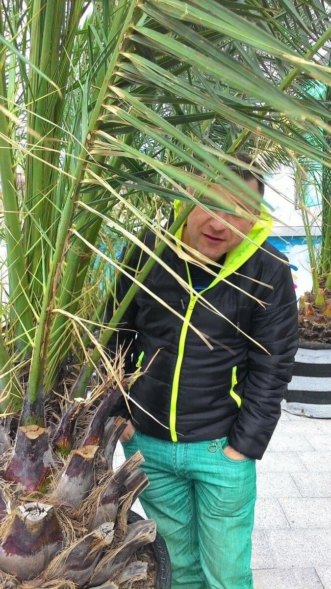 ���� 6589386 ������� ���������, 48 ���, ���� ���������� � �����������